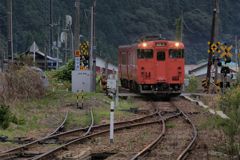 ホッと タラコイロ