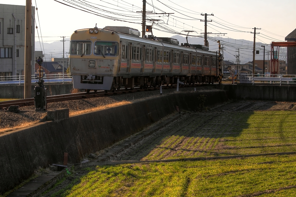 陰日向の田んぼ