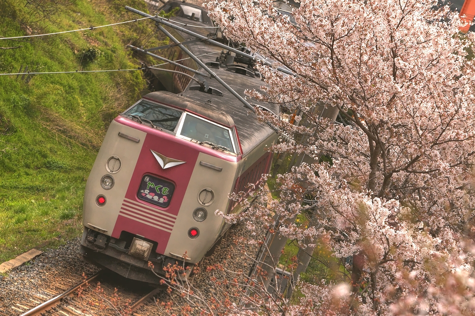 やくも景　　石蟹