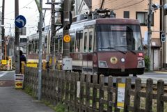 SG 小さな電車の走る姿 10