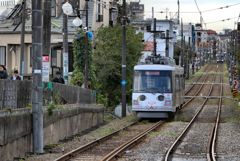 SG 小さな電車の走る姿 11