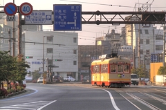 ヤサシイ ヒカリ