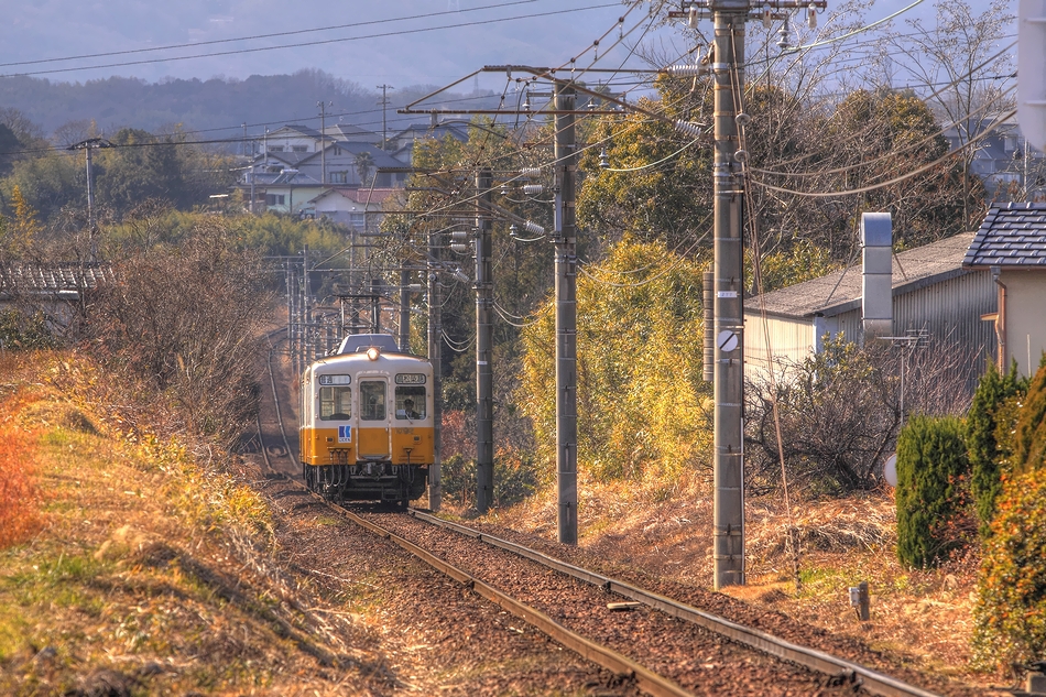 黄色い電車