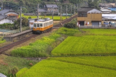 うどん激戦区