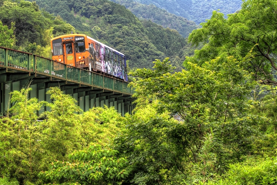 緑中模車