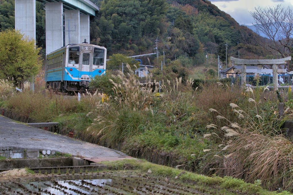 冷めた空気の分岐点