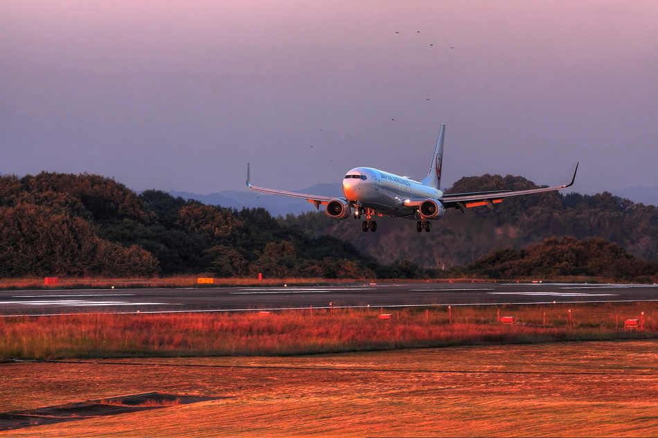 染空ランディング