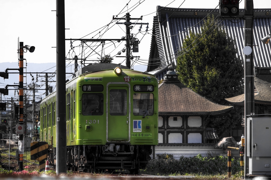 今日はライナー