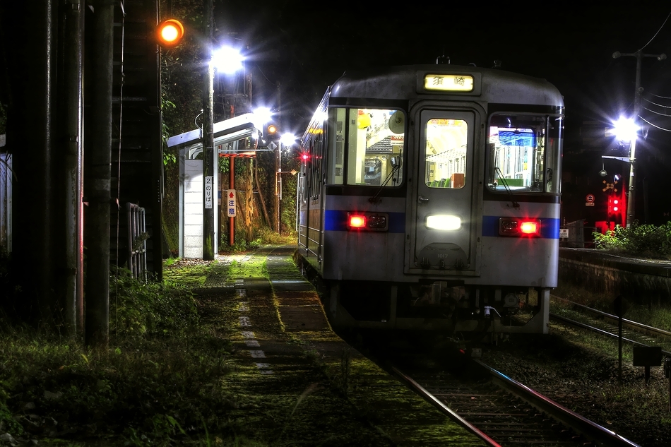 苔の夜遊び