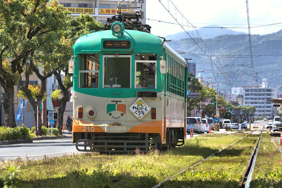 新緑の桟橋通り