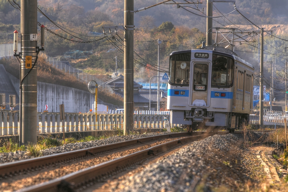 穏やかな一枚