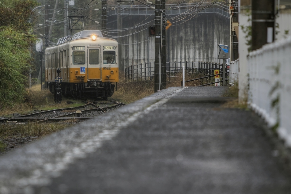 小雨のアライバル