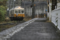 小雨のアライバル