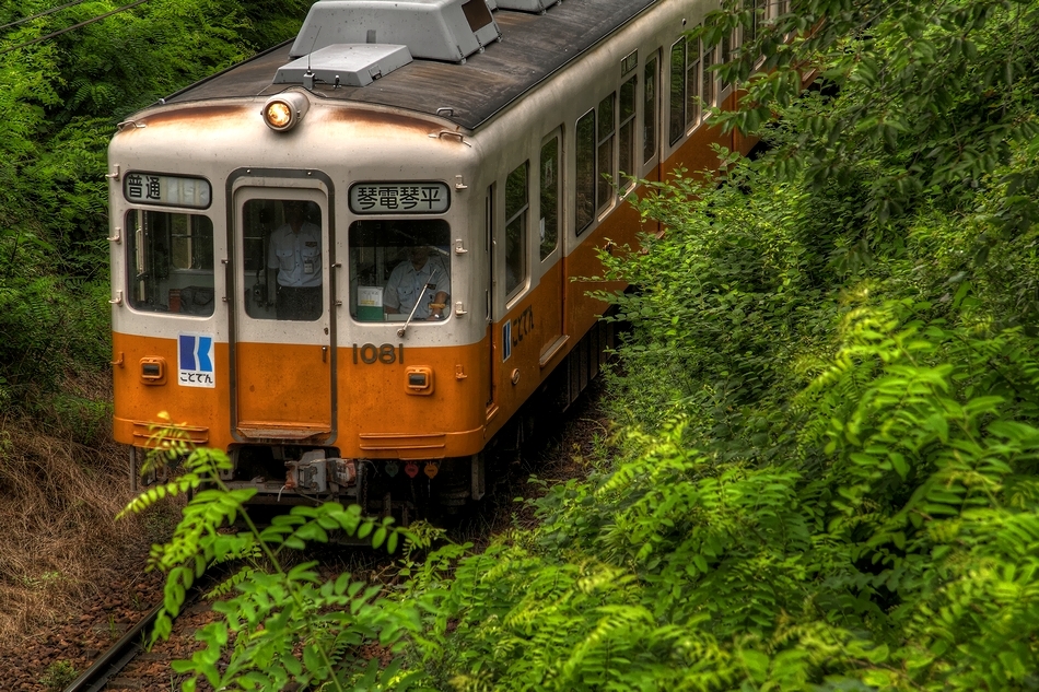 緑中電車