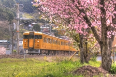 木野山の春