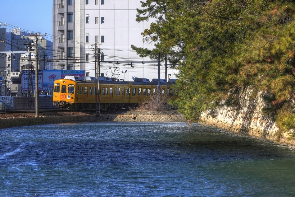 堀端イエロー