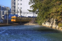 堀端イエロー