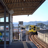 謝る町のタイガース