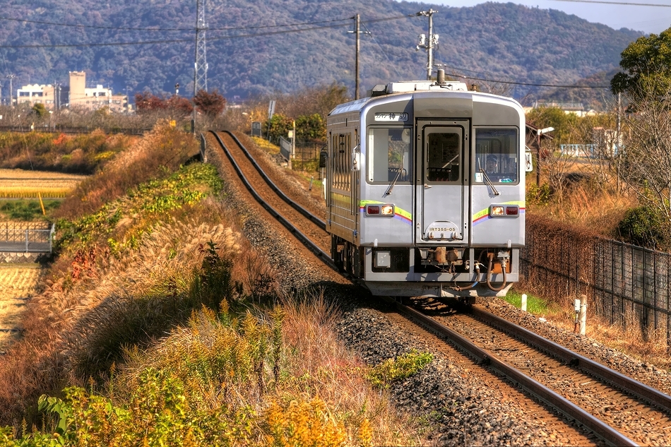 単行... のどかな一本道