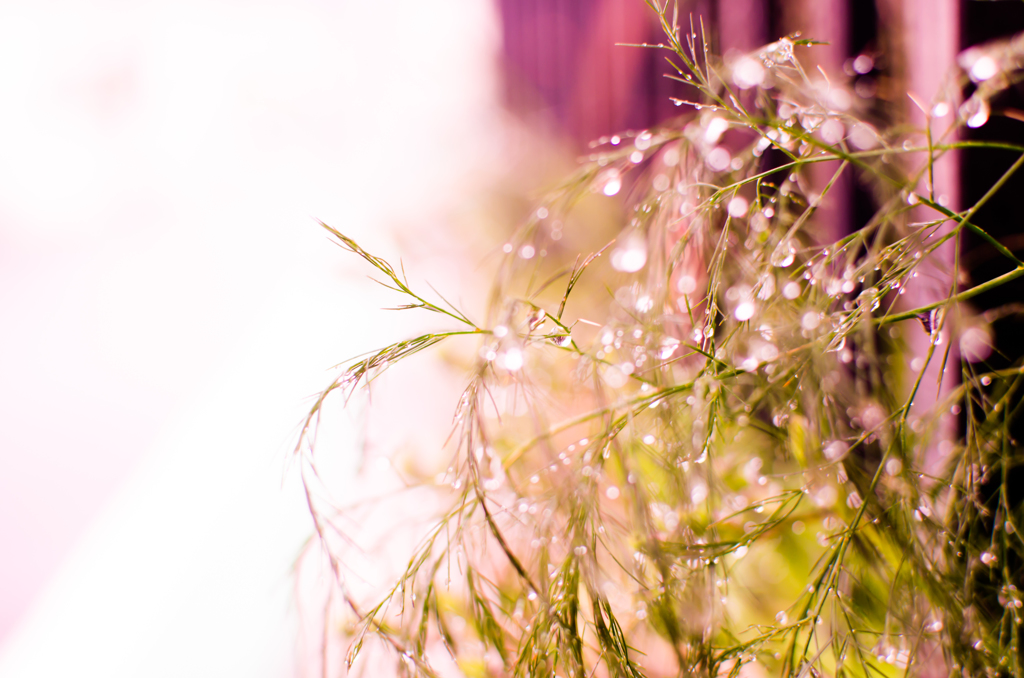 rainy day