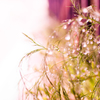 rainy day