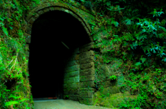 廃トンネル