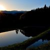 In The Evening 1