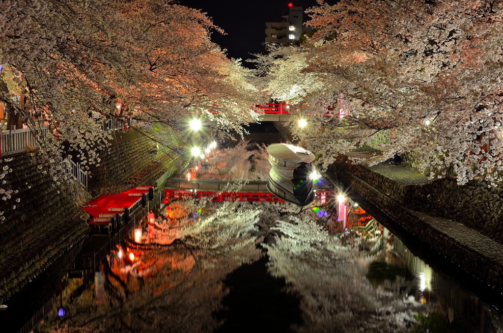 さくら　2014　～奥の細道むすびの地～