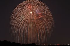 夜空に咲く