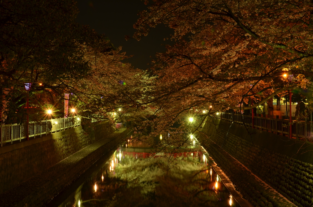 The Water Gate River 1