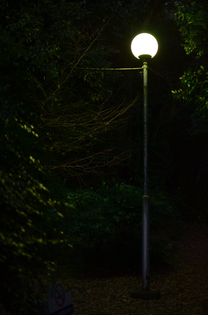 Green Light