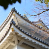 Gift Castle 2