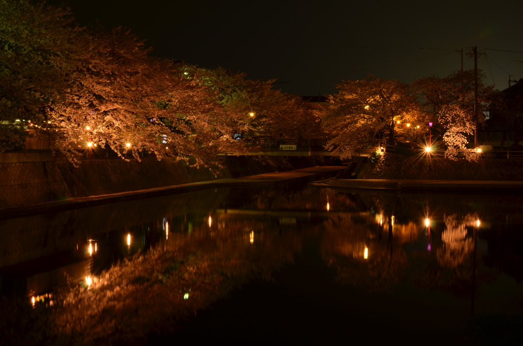 The Water Gate River 3