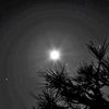 Moonlight