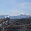 Limestone Plant 1