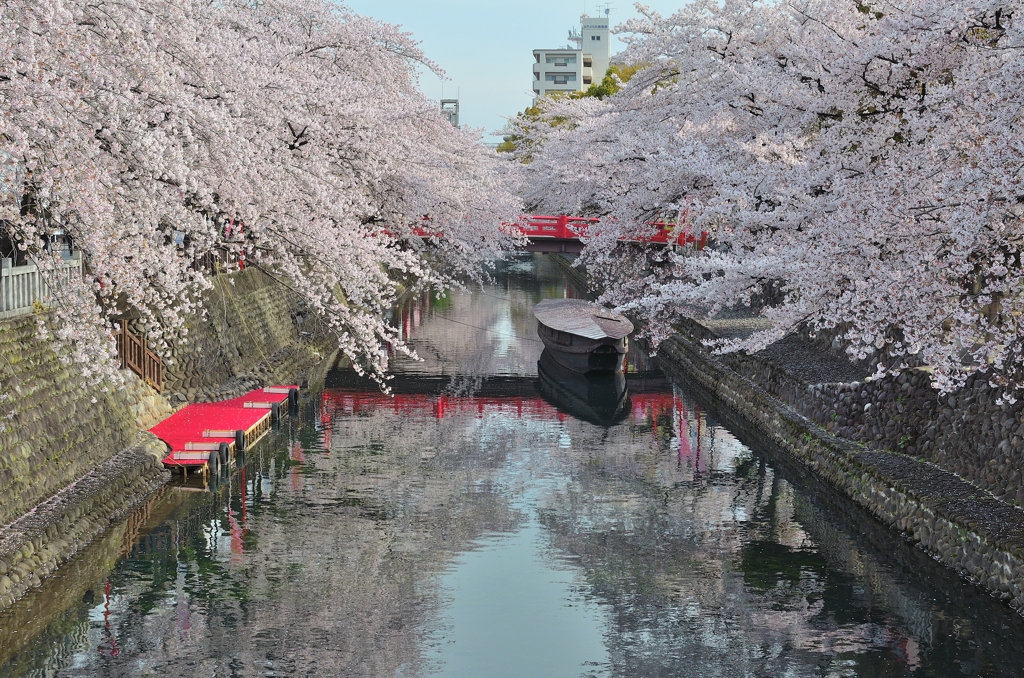 さくら　2014　～奥の細道むすびの地～