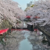 さくら　2014　～奥の細道むすびの地～