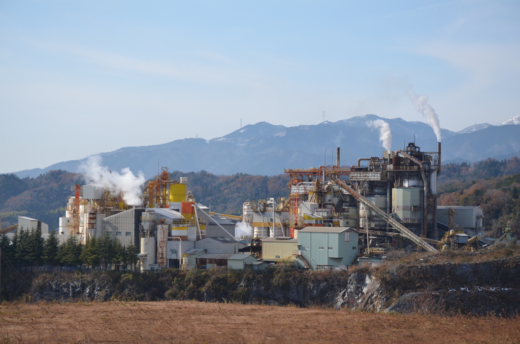 Limestone Plant 2