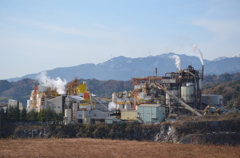 Limestone Plant 2
