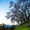 小牧山