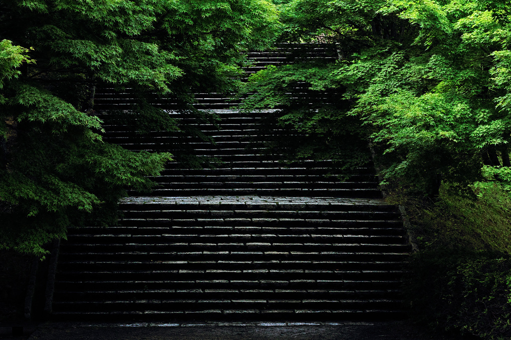 梅雨に佇む静寂なる階段