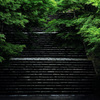 梅雨に佇む静寂なる階段