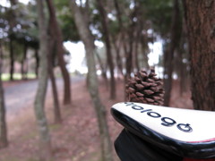 しっかり漕いでよ