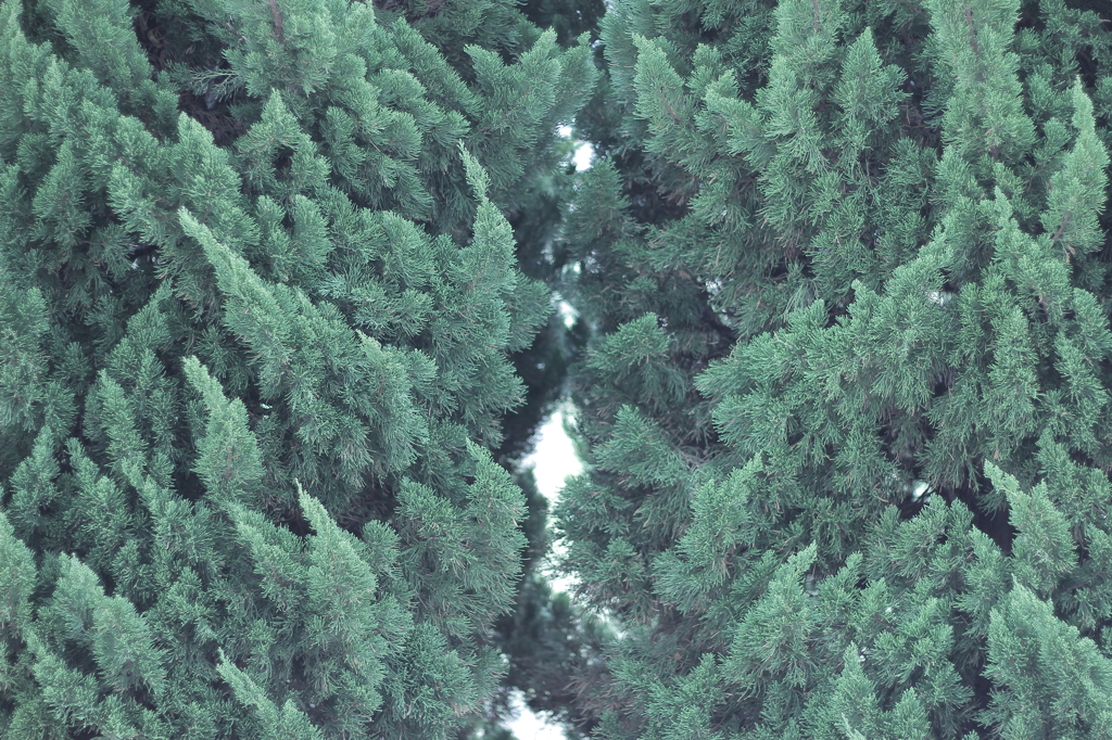 隙間