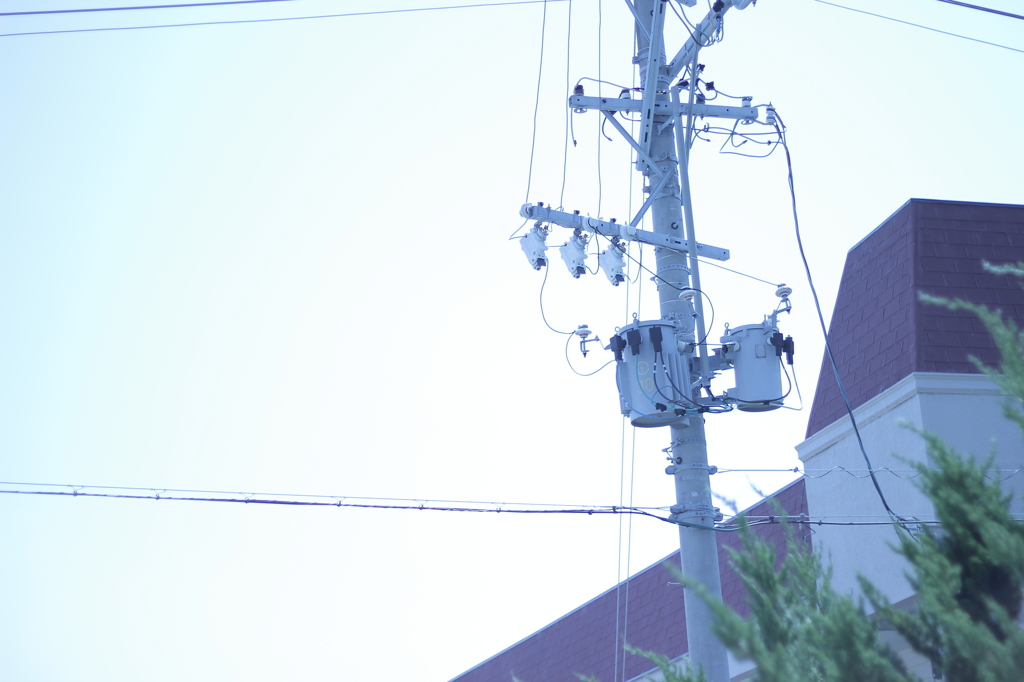 寝ぼけ眼
