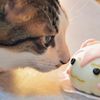桜ミクまん発売です　にゃー