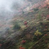 山田峠　３