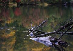 Autumn Place