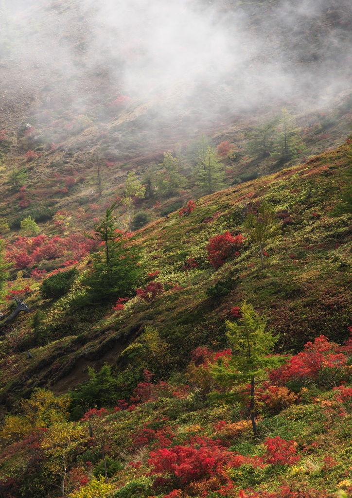 山田峠　５