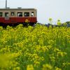Yellow Railway